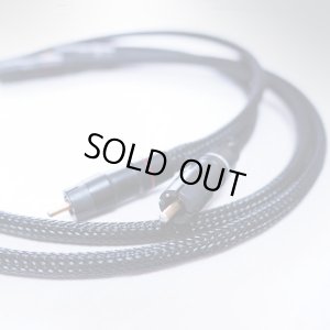画像1: [ ETI ] Q-100 RCA 1.0m pair（未使用新品）