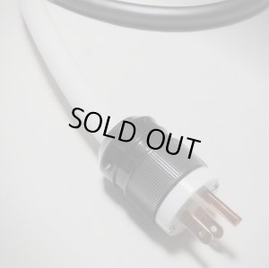 画像2: [DH Labs] POWER BULK 完成品（Rocketfish版）1.0m