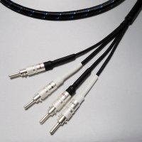 Q-10 signature Bi-wire 2m pair