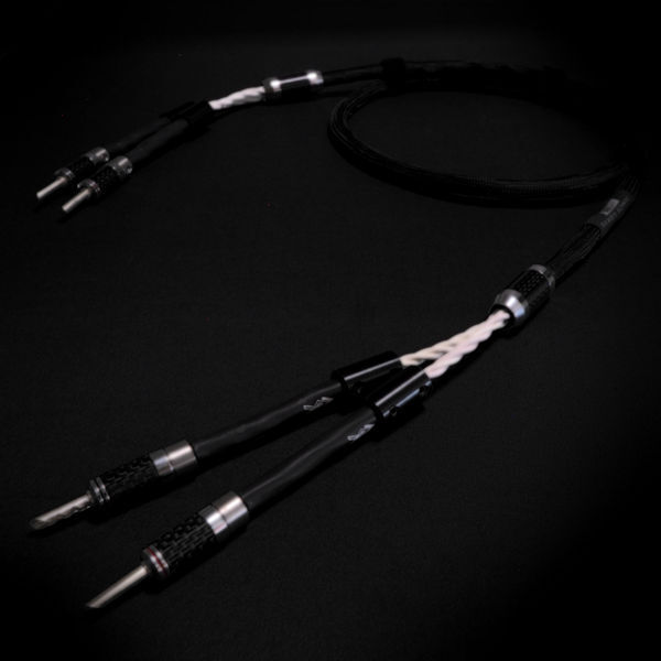 リベレーションピュア・ＳＰ６　2.0m pair