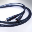 画像1: [ ETI ] Q-100 RCA 1.0m pair（未使用新品）