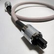 画像1: POWER BULK Red完成品（Frutech版）1.0m