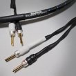 画像2: Q-10 signature 2m pair (Single)