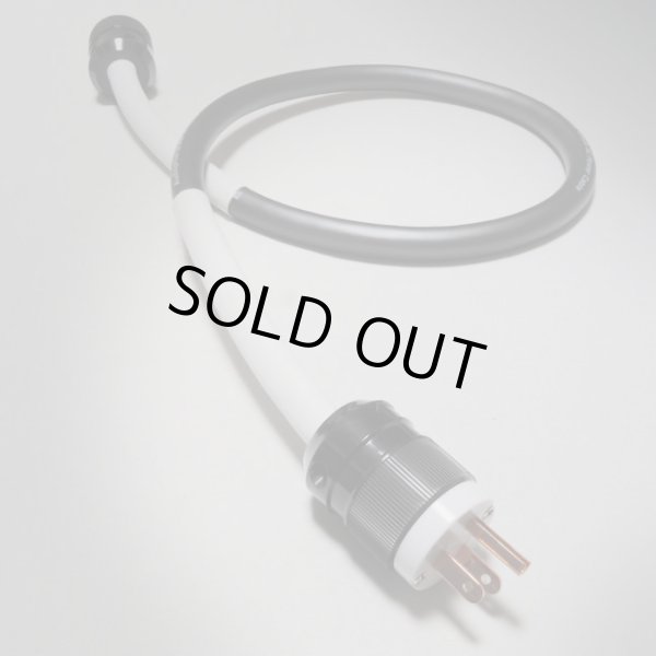 画像1: [DH Labs] POWER BULK 完成品（Rocketfish版）1.0m