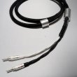 画像1: Q-10 プログレッシブ (2m pair)