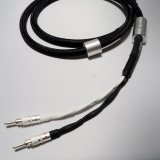 画像: Q-10 プログレッシブ (2m pair)