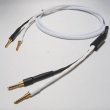 画像2: [Western Electric] SP-６ （1.5m pair）