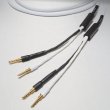 画像1: [Western Electric] SP-６ （2.0m pair）
