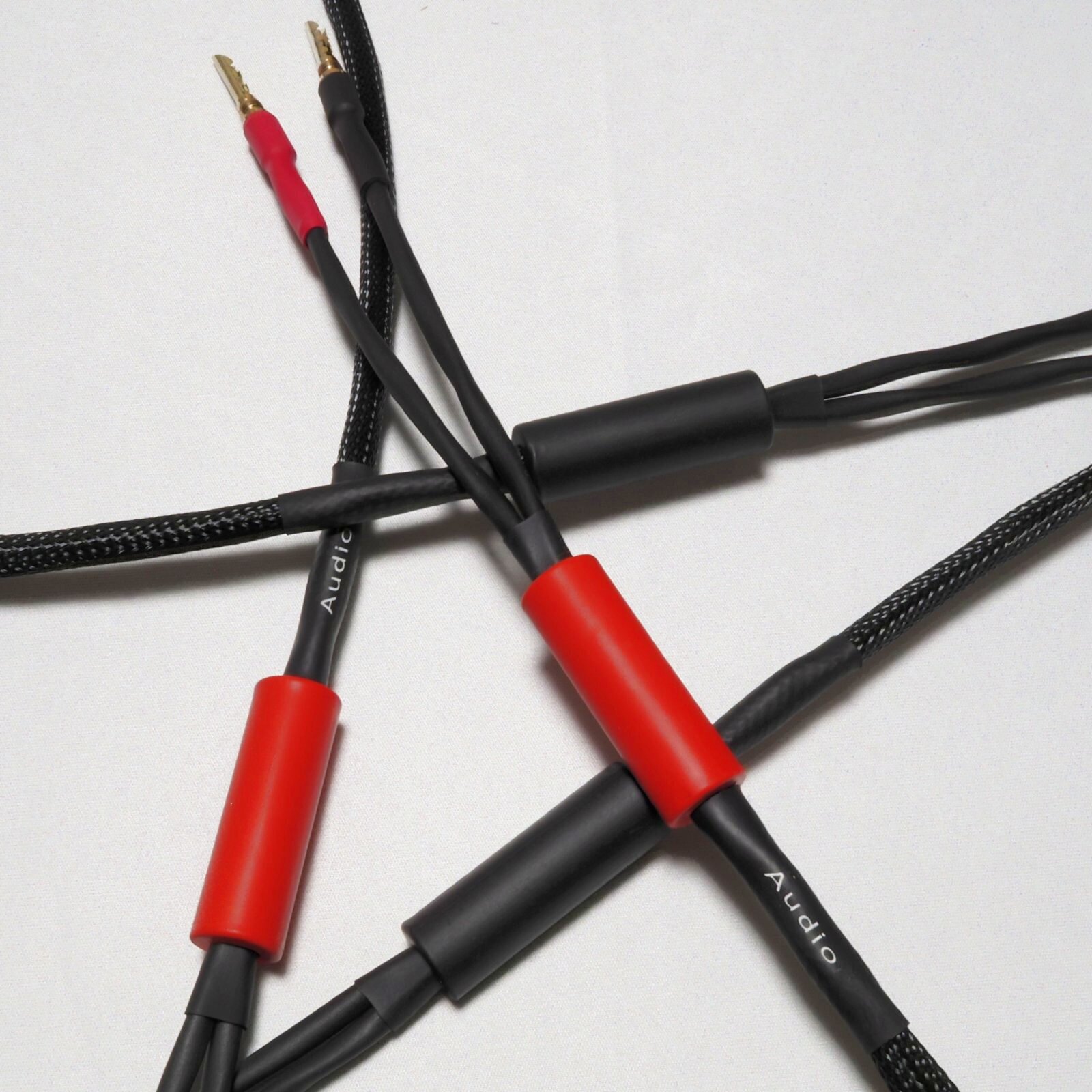 画像: <font color=red><b>Philewebに掲載！</font></b>